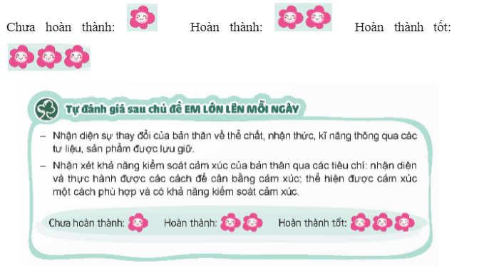 Tự đánh giá sau chủ đề EM LỚN LÊN MỖI NGÀY  - Nhận diện sự thay đổi của bản thân về (ảnh 1)