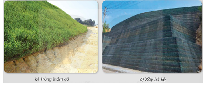 - Quan sát hình 5 và cho biết ý nghĩa của mỗi biện pháp phòng chống xói mòn đất. (ảnh 2)