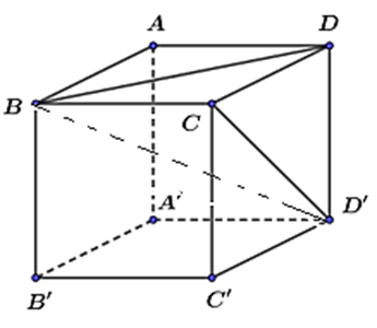 Góc nhị diện (D,BC,D) có số đo bằng (ảnh 1)
