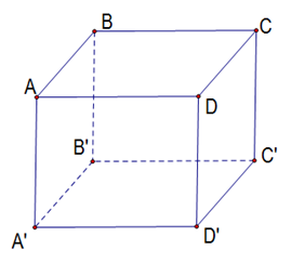 Cho hình lập phương (ABCD.A'B'C'D') như hình vẽ bên (ảnh 1)