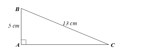 Tìm độ dài cạnh góc vuông AC và số đo các góc nhọn B, C của tam giác  (ảnh 1)