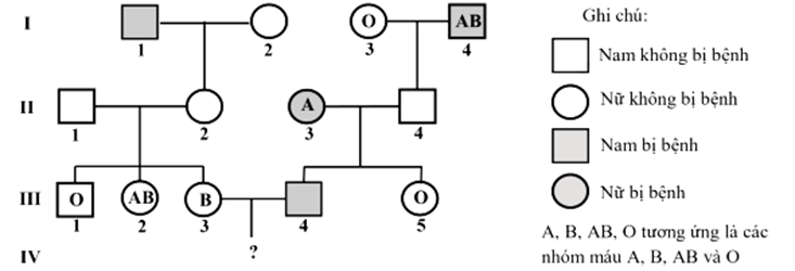 Ở người, gen quy định nhóm máu có 3 alen IA, IB, IO (ảnh 1)