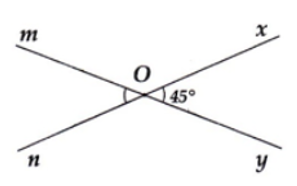 Cho góc góc xOy  có số đo bằng 45°. Vẽ hai tia Om, On lần lượt là tia đối của tia Oy, Ox. Tính số đo các góc còn lại trên hình.   (ảnh 1)