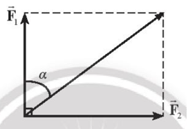 Hai lực có giá đồng quy, vuông góc có độ lớn các lực thành phần là F1 = 6 N và F2 = 8 N. (ảnh 2)