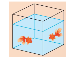 Một bể cá hình lập phương có sức chứa 1 000 dm3. Muốn tăng sức (ảnh 1)