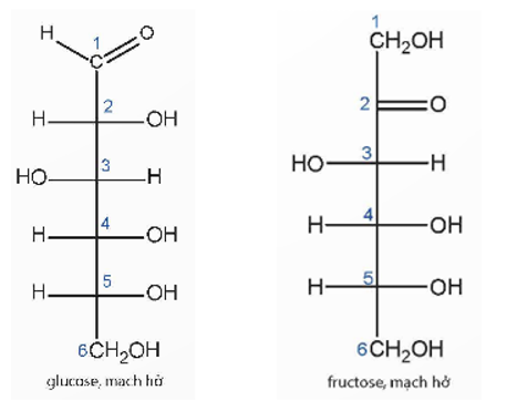 So sánh đặc điểm cấu tạo của phân tử glucose và fructose dạng mạch hở. (ảnh 1)