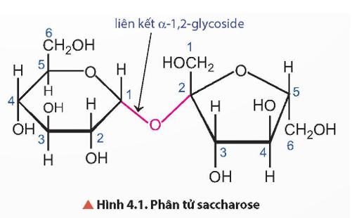 Trên kệ bếp của các gia đình thường có lọ đường ăn, tên hoá học là saccharose, (ảnh 1)