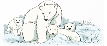 Một đàn gấu Bắc Cực có 10 chú gấu con, mỗi chú gấu con (ảnh 1)