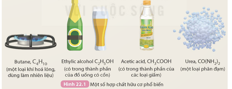 Quan sát công thức của các hợp chất hữu cơ phổ biến trong Hình 22.1 và cho biết đặc điểm (ảnh 1)