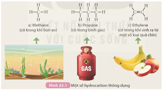 Tìm hiểu về các hydrocarbon thông dụng   Quan sát Hình 23.1 và thực hiện các yêu cầu sau (ảnh 1)