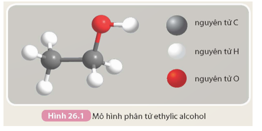 Dựa vào mô hình phân tử ethylic alcohol (Hình 26.1), hãy viết công thức phân tử (ảnh 1)