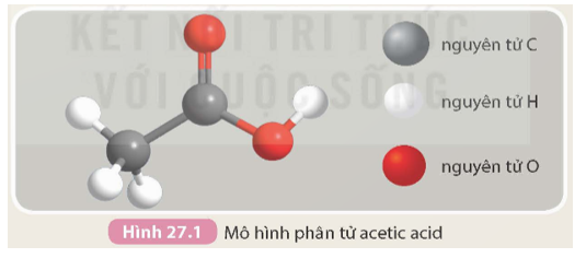 Dựa vào mô hình phân tử acetic acid (Hình 27.1), hãy viết công thức phân tử, công thức cấu tạo của acetic acid và so sánh với alkane cùng số nguyên tử (ảnh 1)