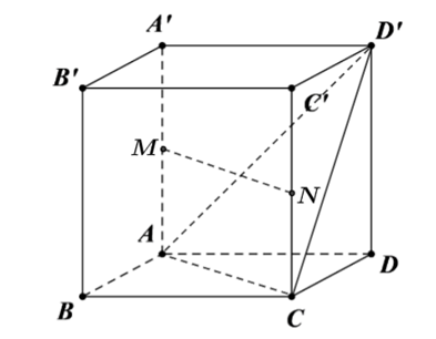 Cho hình lập phương ABCD.A'B'C'D' có cạnh bằng a. Gọi M, N lần lượt là trung điểm của các cạnh AA' và CC'. (ảnh 1)