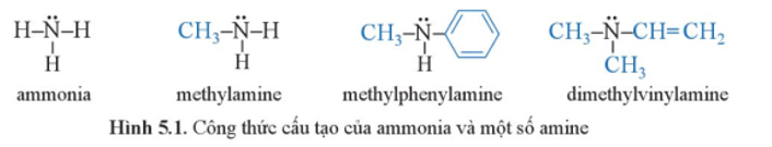 Từ công thức cấu tạo của ammonia và một số amine ở Hình 5.1, hãy:  a) Cho biết đặc điểm cấu tạo của amine. (ảnh 1)