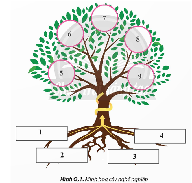 Hãy điền các yếu tố vào rễ và quả của cây nghề nghiệp ở Hình 0.1, qua đó trình bày tóm tắt lí thuyết cây nghề nghiệp. (ảnh 1)