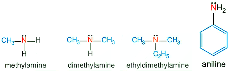 Phân loại các amine dưới đây dựa trên bậc của amine và dựa trên đặc điểm cấu tạo của gốc hydrocarbon. (ảnh 1)