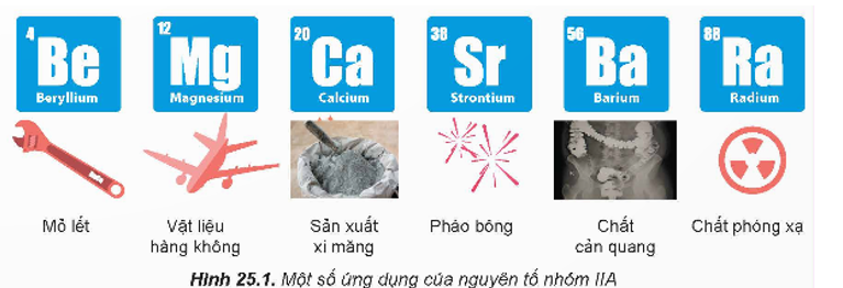 Trong nhóm IIA, magnesium và calcium là hai nguyên tố phổ biến nhất, đồng thời có vai trò quan trọng với sự sinh trưởng, (ảnh 1)