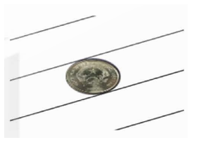 Người ta gieo một đồng xu hình tròn bán kính 1 cm lên một tờ (ảnh 1)