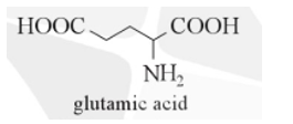 Glutamic acid thuộc loại hợp chất hữu cơ tạp chức có công thức cấu tạo như sau: (ảnh 1)