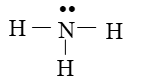 Từ công thức Lewis của NH3, giải thích vì sao phân tử này có thể đóng vai trò là phối tử.  (ảnh 1)