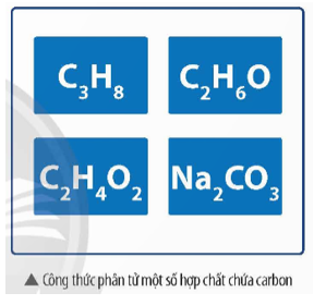 Hình bên là công thức phân tử của một số hợp chất chứa carbon, gồm hợp chất hữu cơ và hợp chất vô cơ. Dựa vào thành phần nguyên tố, ta có nhận biết (ảnh 1)
