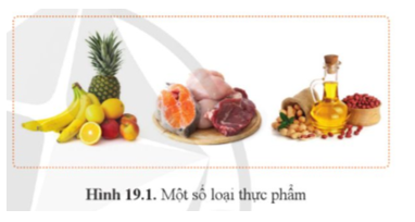 Quan sát hình 19.1 và chỉ ra loại thực phẩm nào giàu chất đạm, chất béo, chất bột đường,  (ảnh 1)