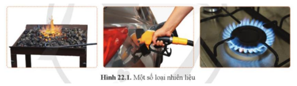 Quan sát hình 22.1 và cho biết trong đó có những loại nhiên liệu nào đã được sử dụng? Loại nhiên liệu nào được tạo ra từ dầu mỏ?   (ảnh 1)