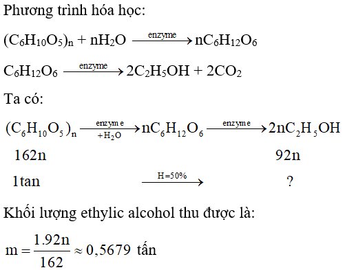 Quá trình sản xuất ethylic alcohol từ tinh bột có thể biểu diễn theo sơ đồ:   Biết hiệu suất chung của quá trình trên là 50%. Viết phương trình hóa học của các phản ứng theo sơ đồ trên. Tính khối lượng ethylic alcohol thu được từ 1 tấn tinh bột. (ảnh 1)
