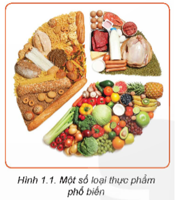 Các loại thực phẩm trong Hình 1.1 được chia thành các nhóm chất dinh dưỡng khác nhau. (ảnh 1)