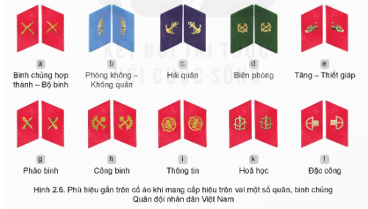 - Nêu cách nhận biết các lực lượng trong Quân đội nhân dân Việt Nam dựa vào phủ hiệu ở hình 2.6. (ảnh 1)