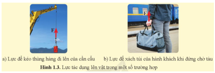 Các lực được mô tả trong hình 1.3 có sinh công hay không? Vì sao? (ảnh 1)