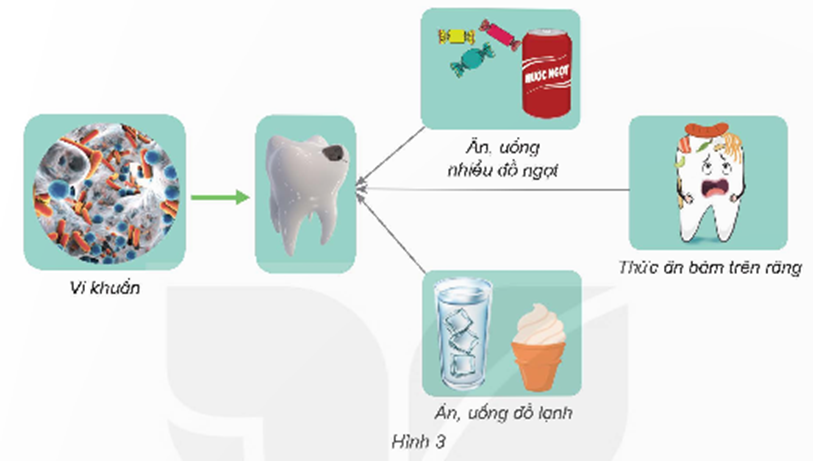 - Quan sát hình 3 và cho biết. + Nguyên nhân gây bệnh sâu răng. + Nguyên nhân làm tăng nguy cơ gây bệnh sâu răng. (ảnh 1)