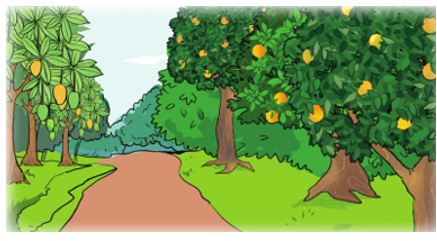 Số cây cam trong vườn ít hơn số cây xoài là 32 cây. Tỉ số của số cây xoài và số cây cam là (ảnh 1)