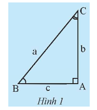 Cho tam giác ABC vuông tại A (Hình 1).   a) Hãy tính sin B theo b và a, cos B theo c và a. Sử dụng các kết quả tính (ảnh 1)
