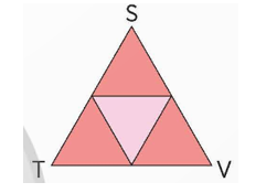 Ở hình bên, tam giác STV được ghép bởi bốn hình tam giác đều. Tam giác STV có là tam giác đều không?   (ảnh 1)