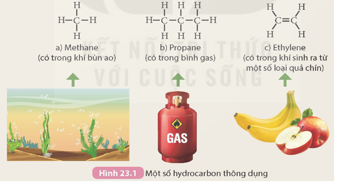 Quan sát Hình 23.1 và cho biết hợp chất nào không thuộc loại alkane. Giải thích. (ảnh 1)