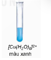 Có 3 lọ hoá chất, mỗi lọ đựng dung dịch của một trong các phức chất sau: [Ag(NH3)2]+, [Cu(H2O)6]2+; [Cu(NH3)4(H2O)2]2 (ảnh 1)