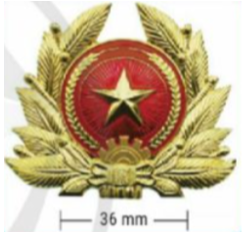 Quân hiệu Quân đội nhân dân Việt Nam là gì? Em hãy quan sát và mô tả Quân hiệu ở hình 2.2.   (ảnh 1)