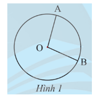 Cho hai điểm A, B trên đường tròn (O; R). Nêu nhận xét về đỉnh và cạnh của góc AOB (ảnh 1)