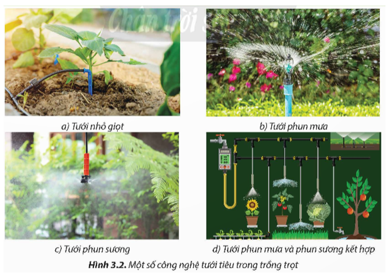 Quan sát Hình 3.2 và kể tên những công nghệ tưới tiêu thường được sử dụng trong trồng trọt hiện nay (ảnh 1)