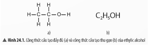 Quan sát Hình 24.1, hãy nhận xét về công thức cấu tạo của ethylic alcohol.   (ảnh 1)