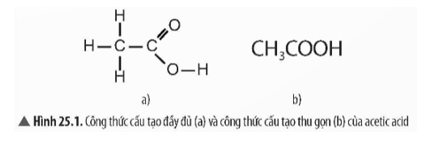 Quan sát Hình 25.1, hãy nêu nhận xét về công thức cấu tạo của acetic acid.   (ảnh 1)