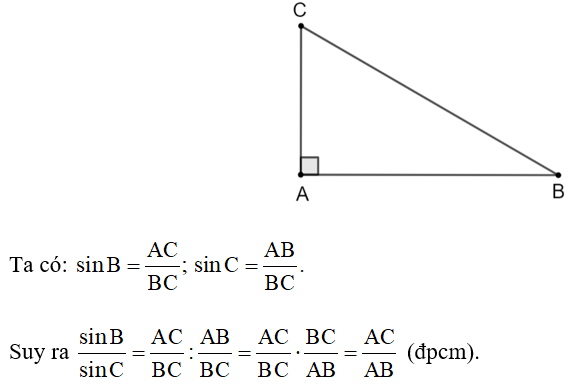 Cho tam giác ABC vuông tại A. Chứng minh rằng AC/AB= sin B/ sin C (ảnh 1)