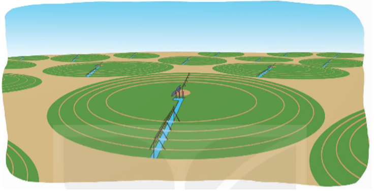 Ở một vùng sa mạc, người ta trồng lúa trên những thửa ruộng có dạng hình tròn bán kính 50 m. Biết rằng có 1 000 thửa ruộng (ảnh 1)