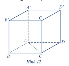 Trong không gian, cho hình lập phương ABCD.A'B'C'D' có độ dài cạnh bằng 3 cm (Hình 12). (ảnh 1)