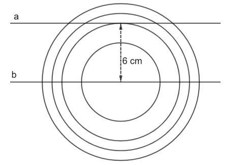 Bạn Thanh cắt 4 hình tròn bằng giấy có bán kính lần lượt là 4 cm, 6 cm (ảnh 1)
