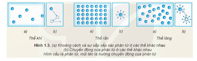 Hãy dựa vào Hình 1.3 để mô tả, so sánh khoảng cách và sự sắp xếp (a), chuyển động (b) của phân tử ở các thể khác nhau (ảnh 1)