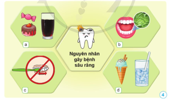 Dựa vào các hình 4 và 5, nêu nguyên nhân và cách phòng tránh bệnh sâu răng. (ảnh 2)