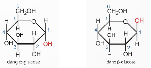 Phân tử saccharose có nhóm – OH hemiacetal hoặc nhóm – OH hemiketol không? Vì sao? (ảnh 1)