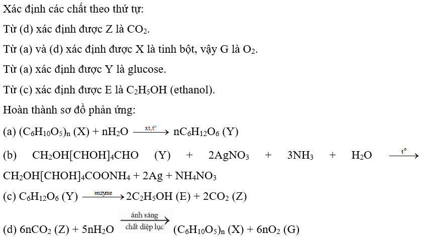 Xác định các chất X, Y, Z, E, G và hoàn thành phương trình hoá học theo các sơ đồ phản ứng sau (ảnh 2)